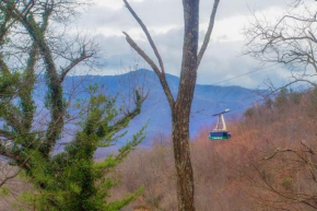 Four Bears Den Gatlinburg